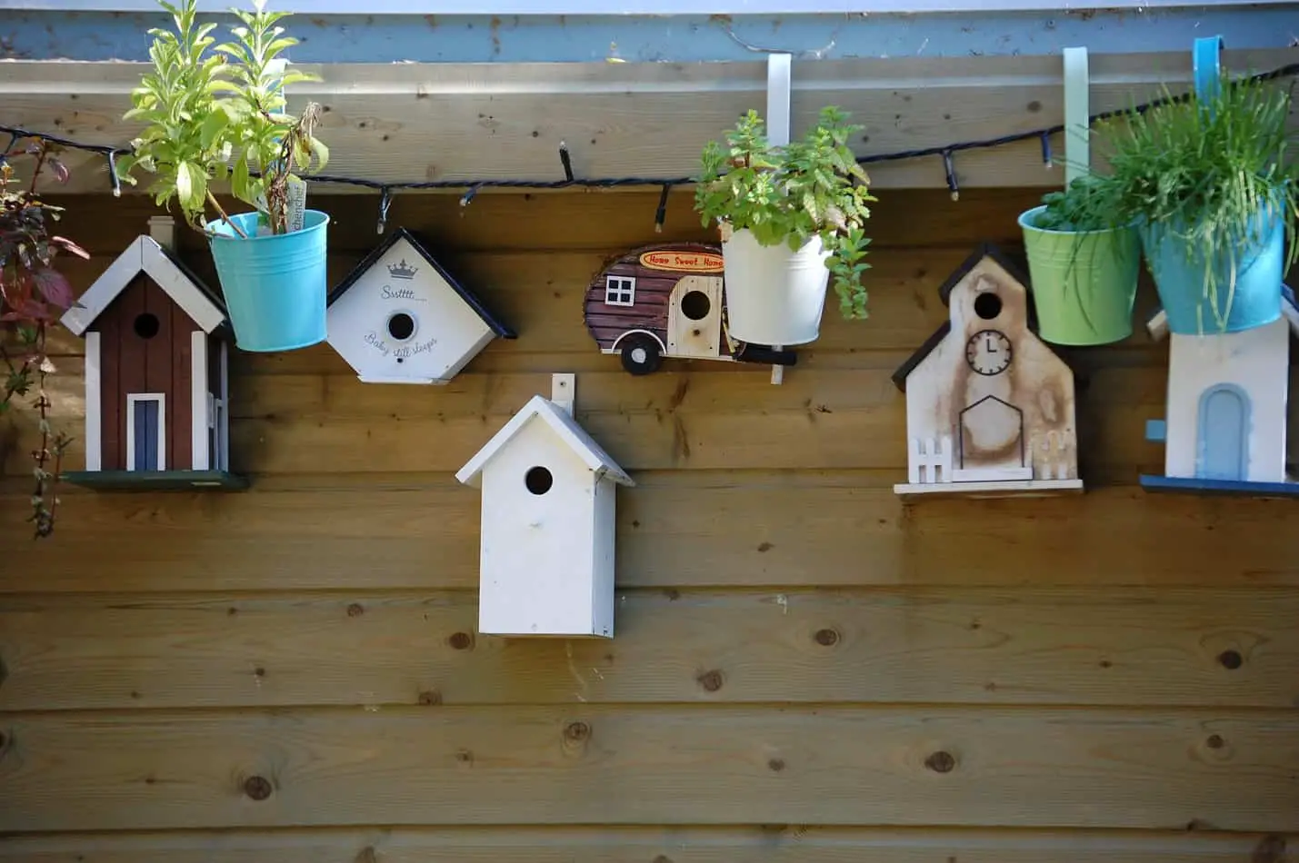 is acrylic paint safe for bird houses